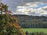 Aussicht Hermannsdenkmal - 