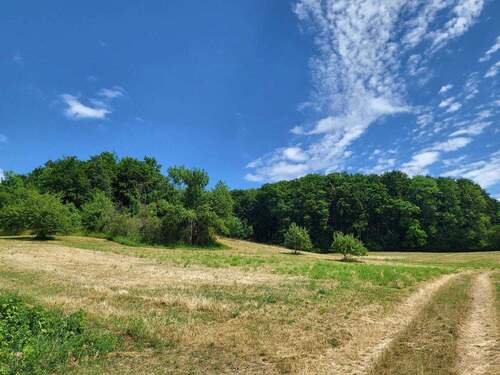 Flst 93 - Wald und Ackerfläche zu verkaufen