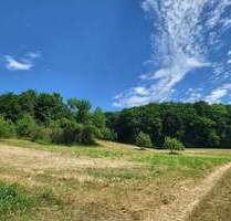 Wald und Ackerfläche zu verkaufen - Meinhard Eschwege