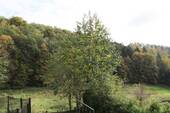 Ausblick.JPG - 
