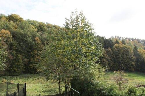 Ausblick.JPG - 