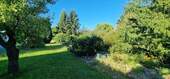 Blick in den Garten - 