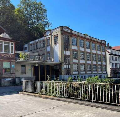Bild 2 - Halle zum Kaufen in Schramberg