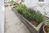Terrassenbepflanzung - 