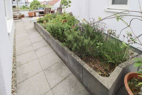 Terrassenbepflanzung - 