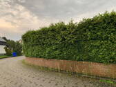 Bild 19 - 