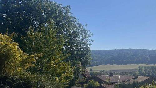 Aussicht - Mehrfamilienhaus, Wohnhaus zum Kaufen in Friedewald