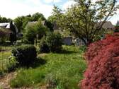Blick in den Garten - 