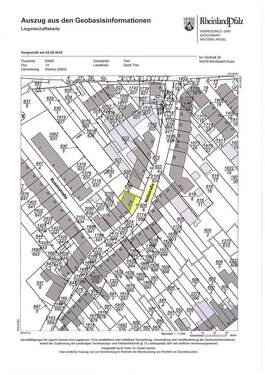 Lageplan.jpg - Mehrfamilienhaus, Wohnhaus in Trier