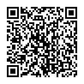 QR-Code - 