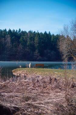Mönchsteich unweit vom Objekt - 