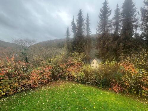 Blick von Balkon EG - 