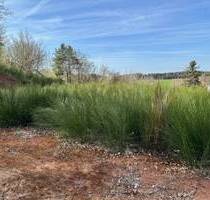 Grundstück für EFH mit 2 Vollgeschossen in Burgthann-Grub