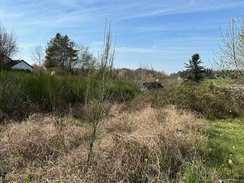 thumbnail_IMG_9446.jpg - Grundstück in Burgthann