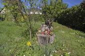 Details Garten - 