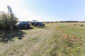 Wiese - 