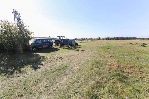 Wiese - 