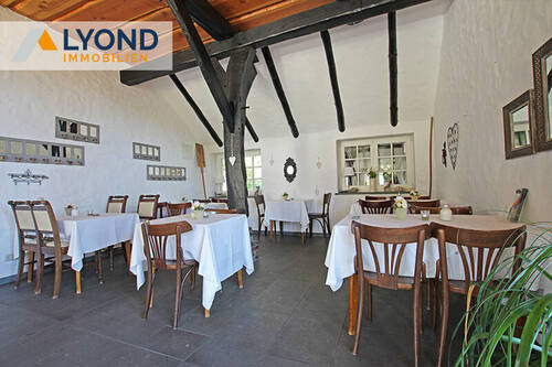 Gastro - 