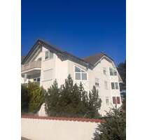 Wunderschöne 3 ZKB Wohnung mit Terrasse in Hackenheim zu vermieten!