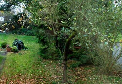 Garten mit Gartenhaus / Terrasse - 