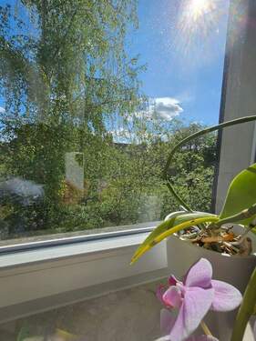 20250507_152345.jpg - 