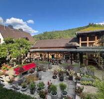 Exklusive traumhafte Immobilie in Alleinlage ein Rückzugsort für höchste Ansprüche zu verkaufen! - Idar-Oberstein