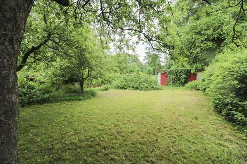riesiger Garten mit Schuppen - 
