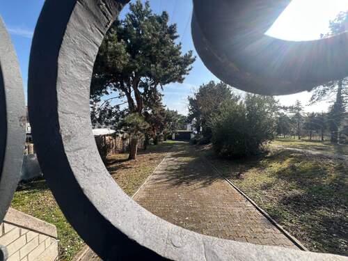 Blick aufs Grundstück - 