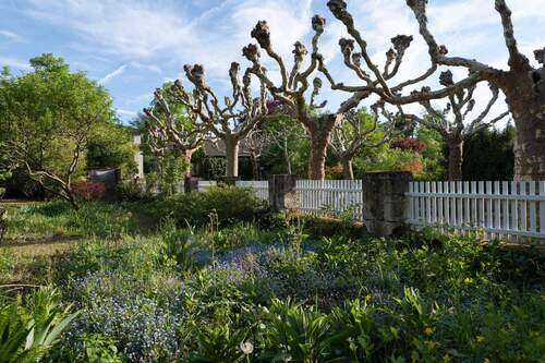 Vorgarten an der Platanenallee - 