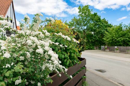 Umgebung_Bischofsweiherstr (1).jpg - 