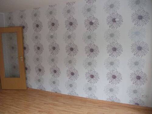 Bild 19 - 