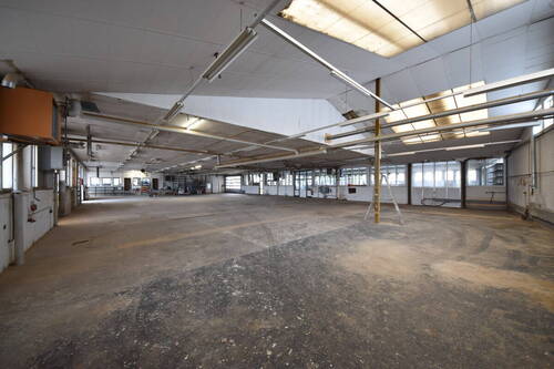 Lager und Produktionshalle - 