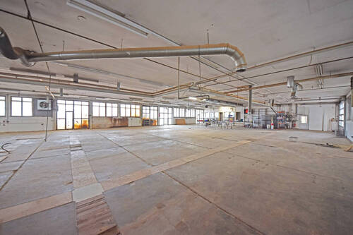 Lager und Produktionshalle 4 - 