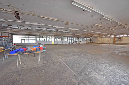 Lager und Produktionshalle - 