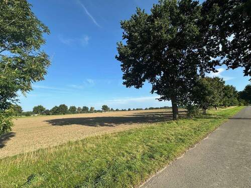 am Ortsrand - 