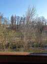 Blick in den Park - 