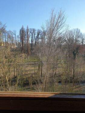 Blick in den Park - 
