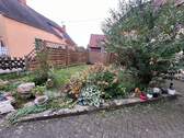 Grünfläche vor Haus - 