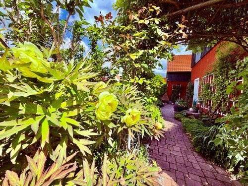 Garten - 