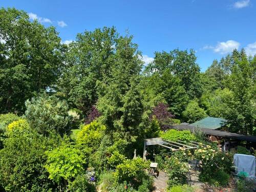 Blick vom Balkon - 