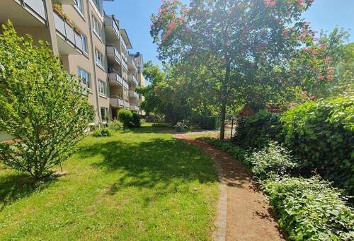 Garten - 2 Zimmer Etagenwohnung in Dresden