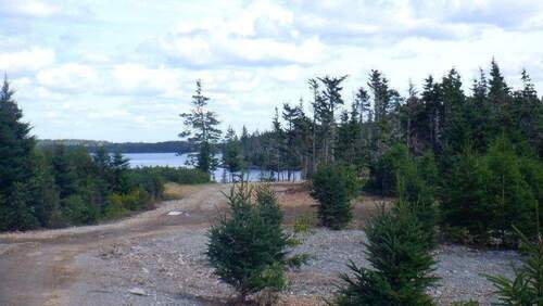 Blick Zufahrt und Teil Grundstück.JPG - 