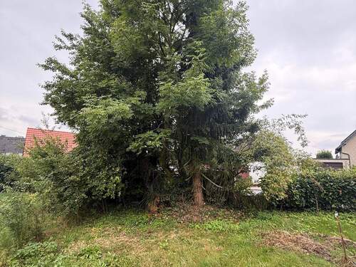 IMG_9642 (Copy).JPG - Grundstück in Leichlingen