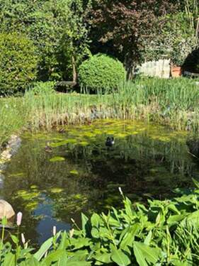 Blick in den Garten - 