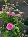 Impressionen - 