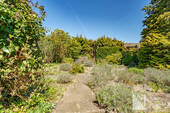 Blick in den Nutzgarten - 