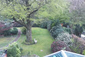 Blick in den Garten - 