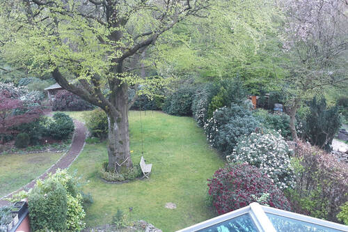Blick in den Garten - 