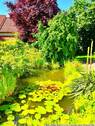 Gartenteich - 