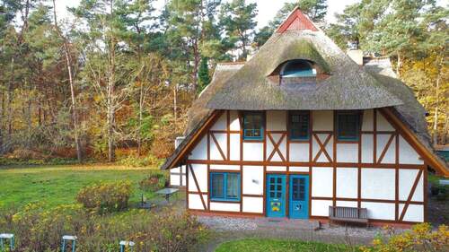 Ostansicht - 3 Zimmer Terrassenwohnung in Born a. Darß